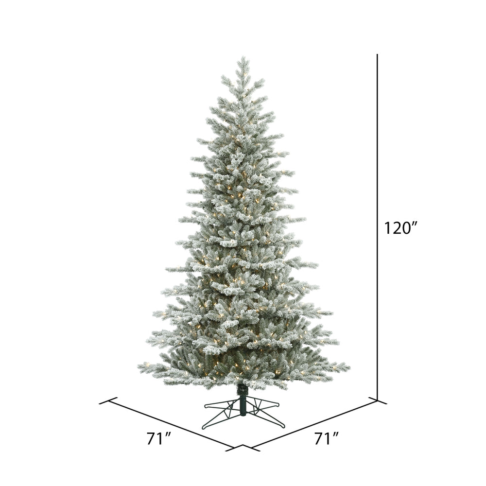 Vickerman 10' Frosted Eastern Fraser Fir Artificial Christmas Tree Clear Dura-lit Lights