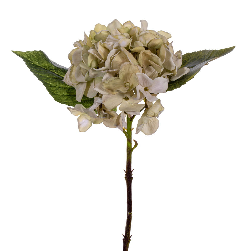 Vickerman 13" White Artificial Dried Hydrangea Pick 3 per bag.