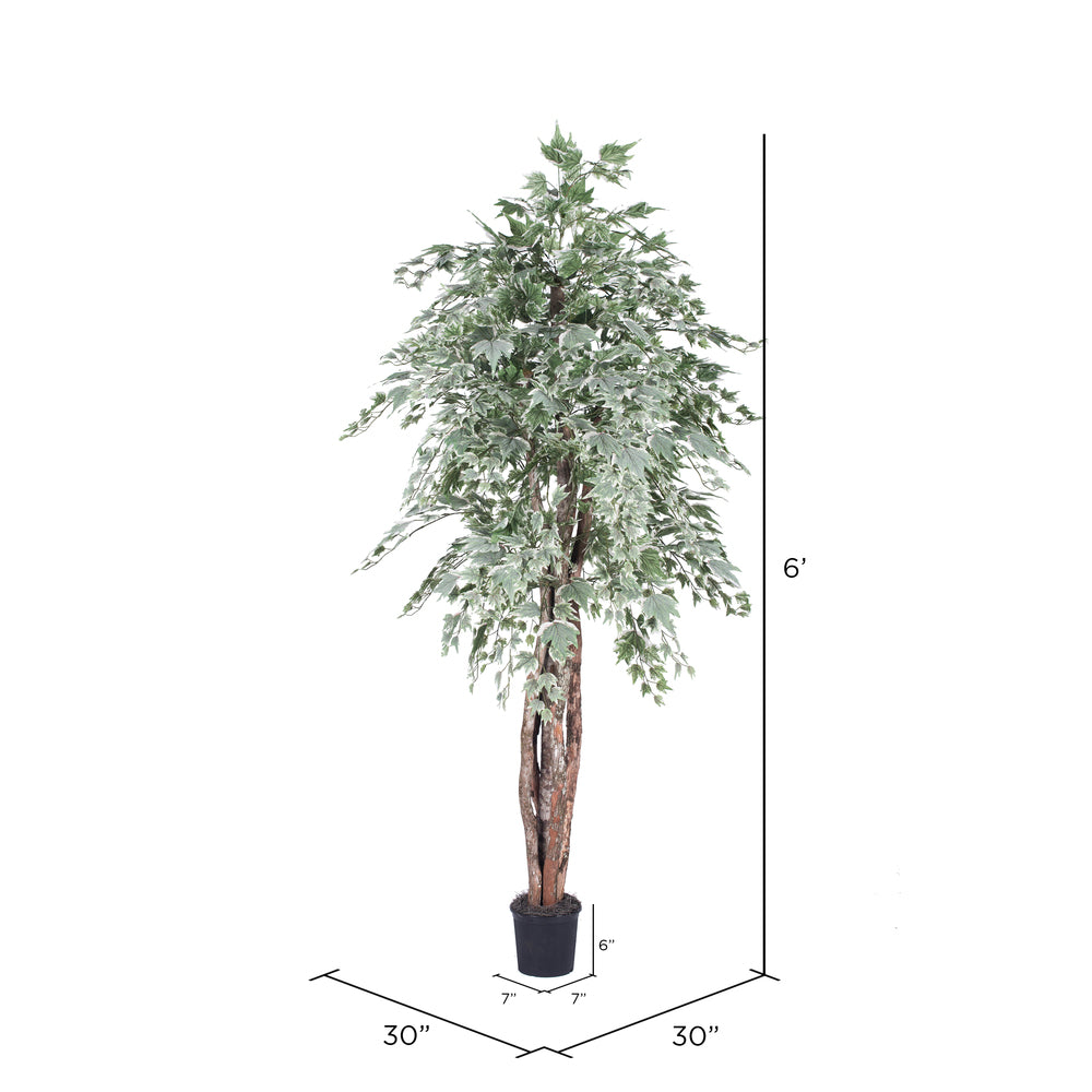 Vickerman 6' Artificial Silver Maple Executive Black Plastic Pot