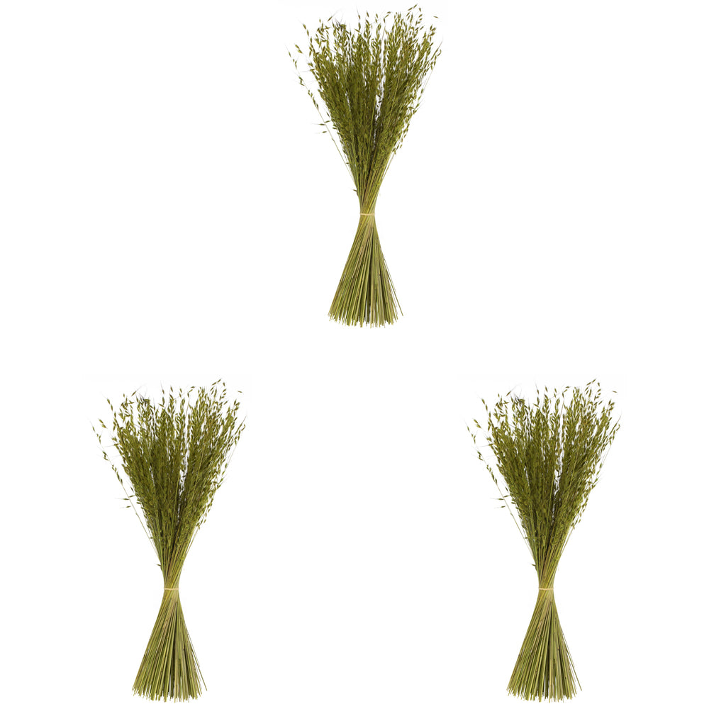 Vickerman 30" Basil Princess Grass. Comes in 21oz (3 -7oz Bundles) Dried