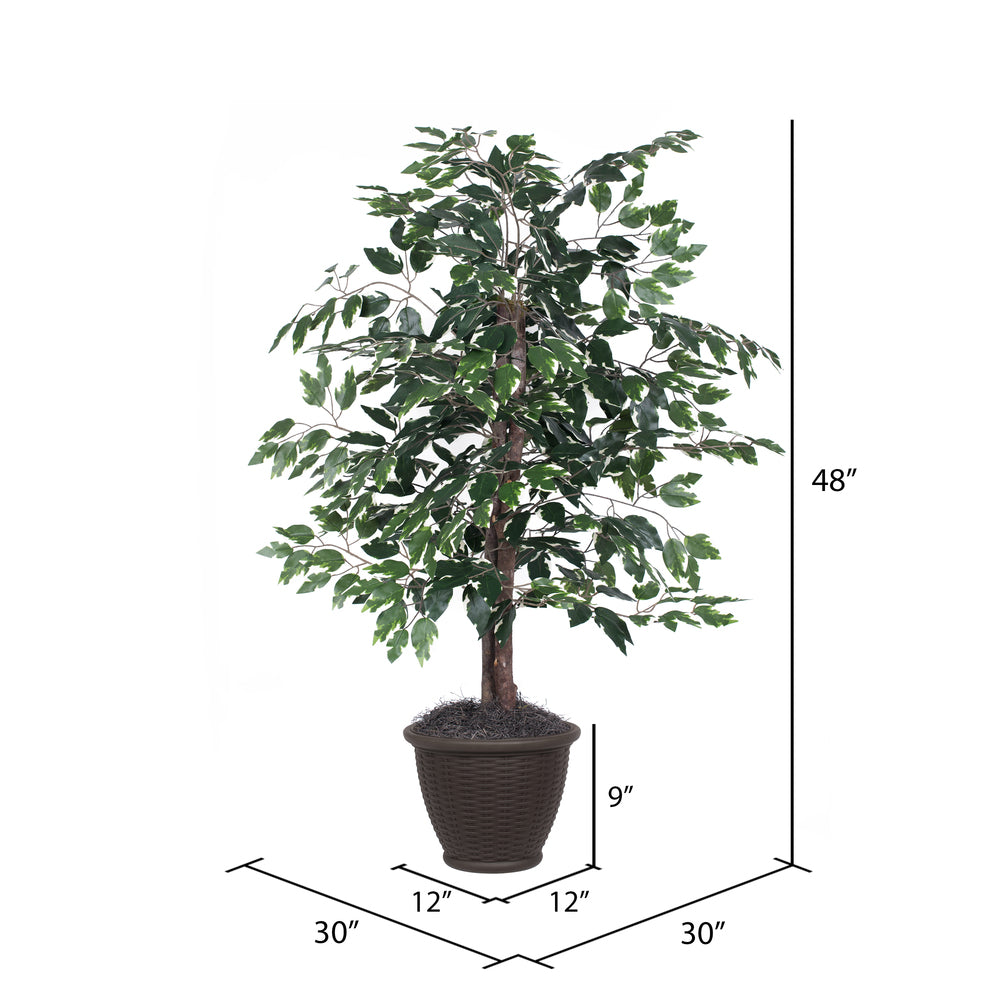 Vickerman 4' Artificial Variegated Ficus Bush Rattan Basket