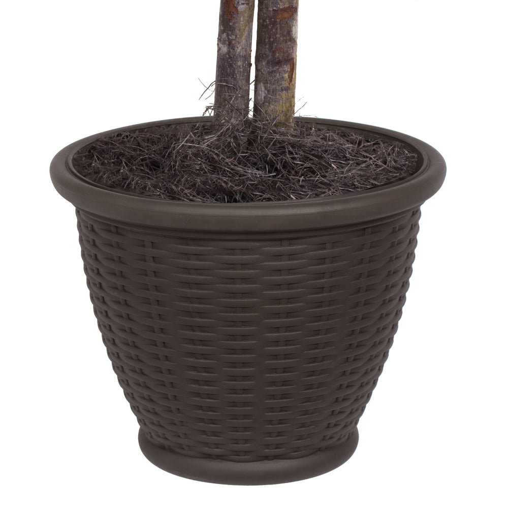 Vickerman 4' Artificial Frosted Maple Bush Brown Plastic Container.