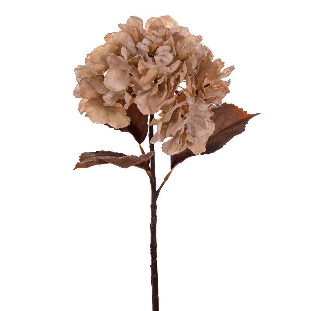 Vickerman 18.5" Cream Artificial Dried Hydrangea Spray 2 per Bag.