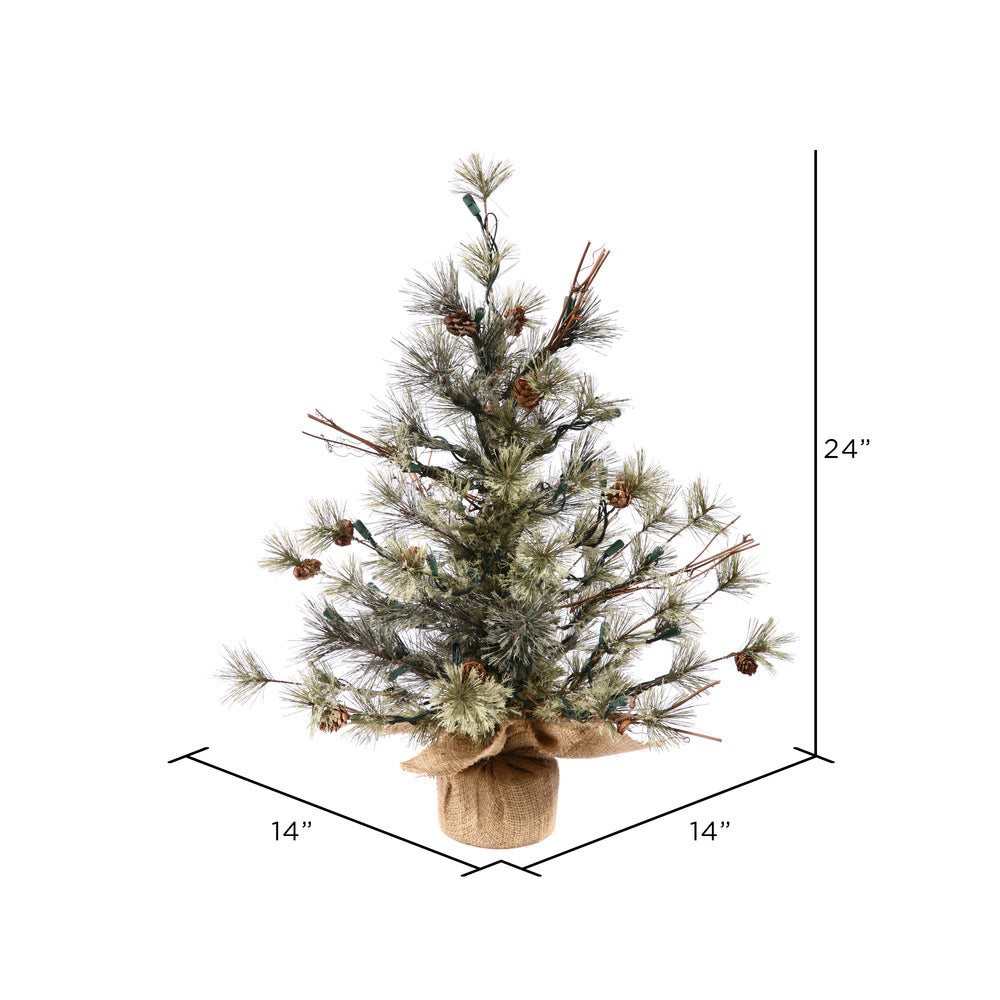 Vickerman 24" Dakota Pine Artificial Christmas Tree Unlit