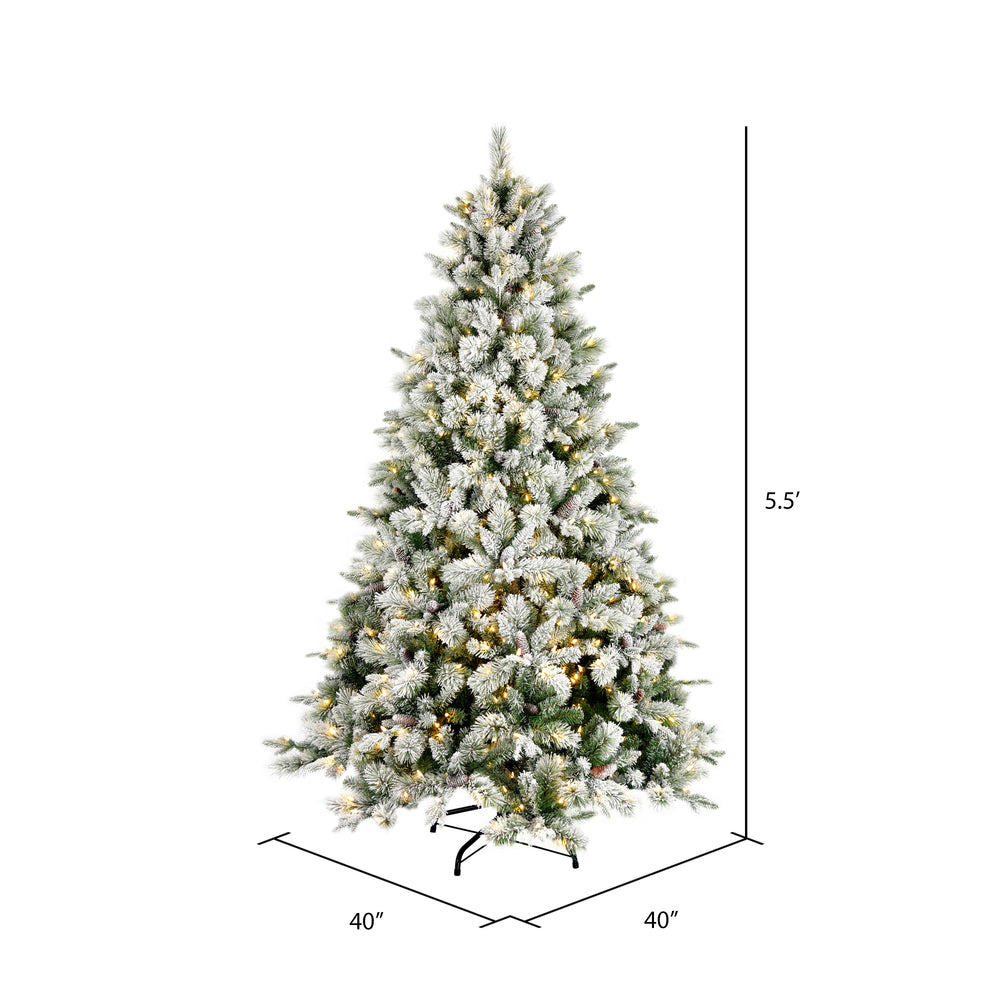 Vickerman 5.5' x 40" Flocked Ellis Pine Artificial Christmas Tree Warm White Dura-Lit® LED Lights