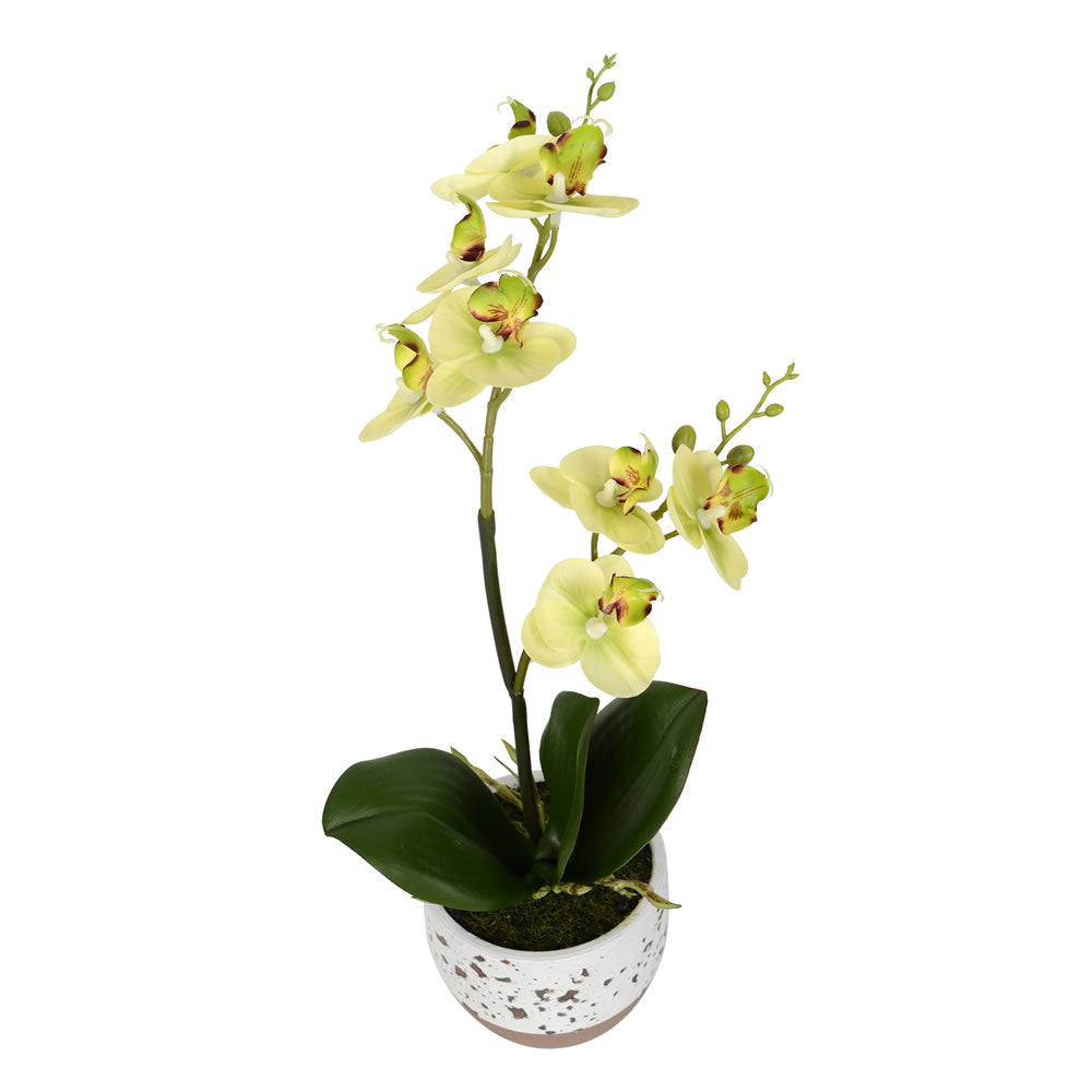 Vickerman 13.5" 18" Artificial Mini White Phalaenopsis Set Of 2 Real Touch