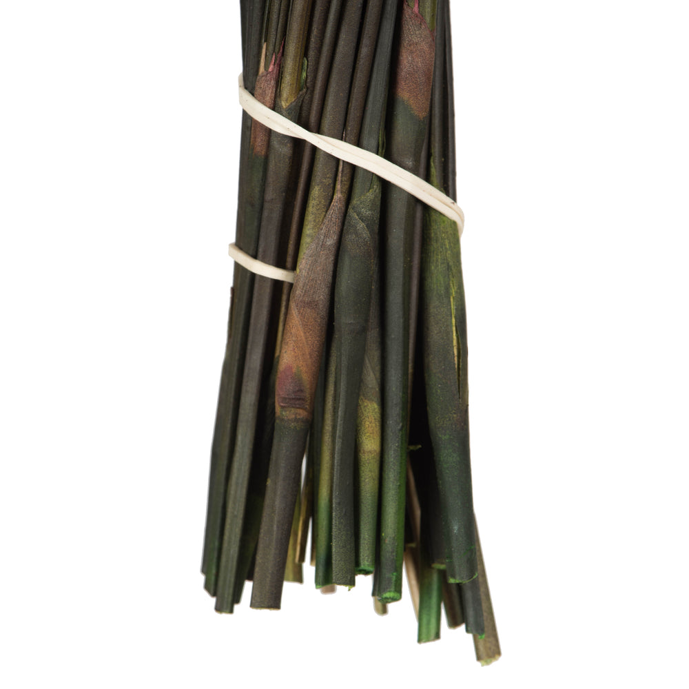 Vickerman 15-20" Merlot Bell Female short 5-6 oz Bundle Preserved