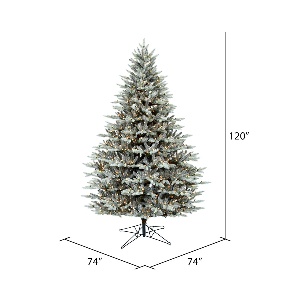 Vickerman 10' x 74" Douglas Blue Fir Artificial Christmas Tree Clear Dura-lit Lights