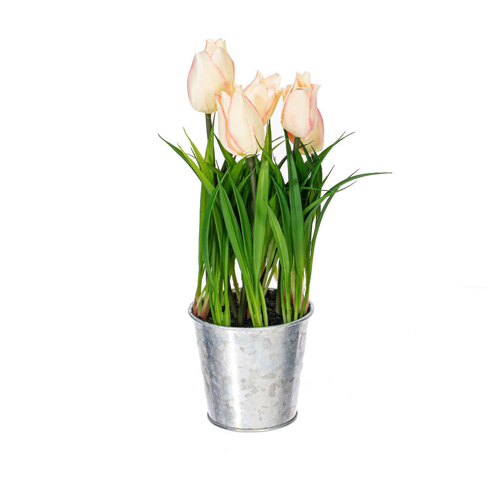 Vickerman 10.5" Artificial Assorted Set of Tulips in Metal Pot.