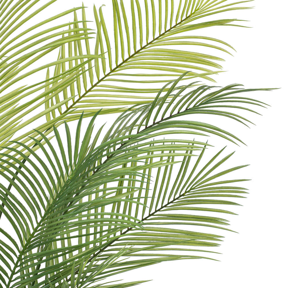 Vickerman 50" Green Areca Palm Plant. This is an artificial plant in a black plastic pot.