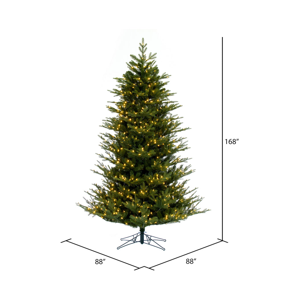 Vickerman 14' x 88" North Shore Fraser Fir Artificial Christmas Tree LED Warm White Lights