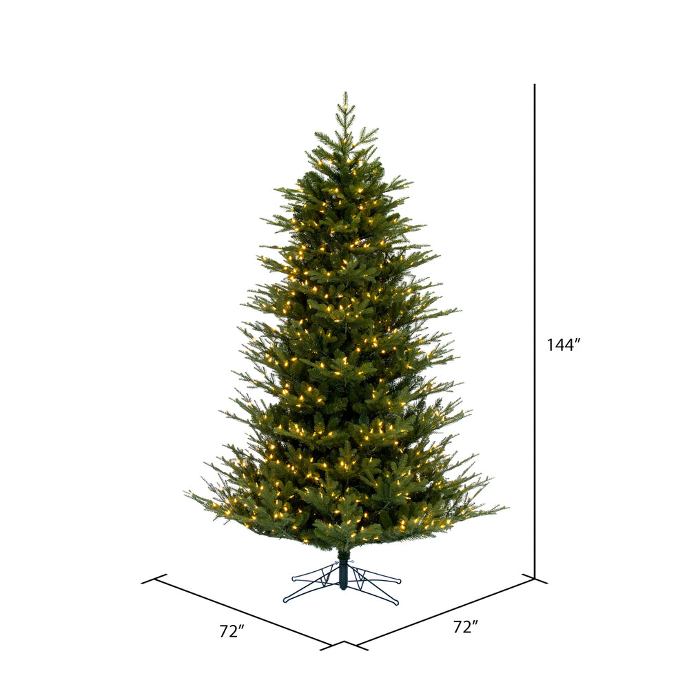 Vickerman 12' x 72" North Shore Fraser Fir Artificial Christmas Tree LED Warm White Lights