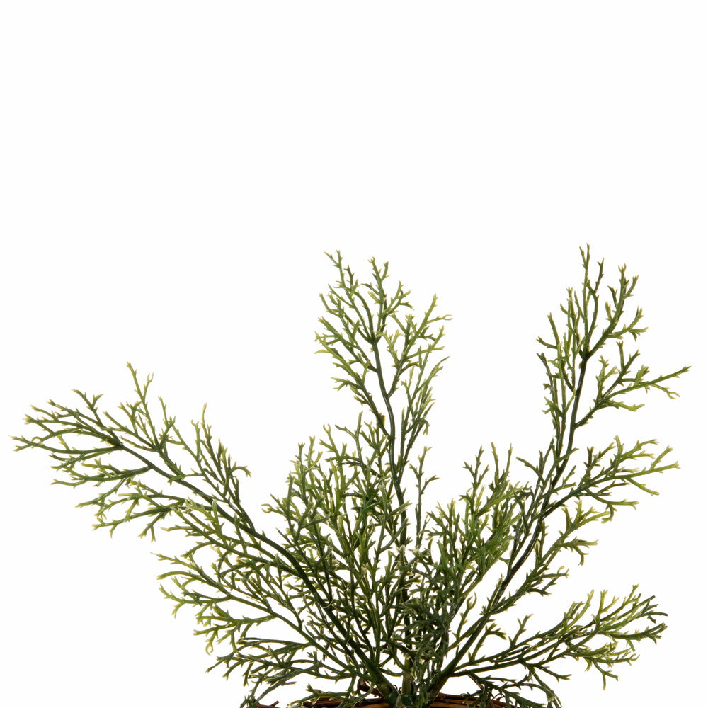 Vickerman 24" Artificial Cedar Wreath.