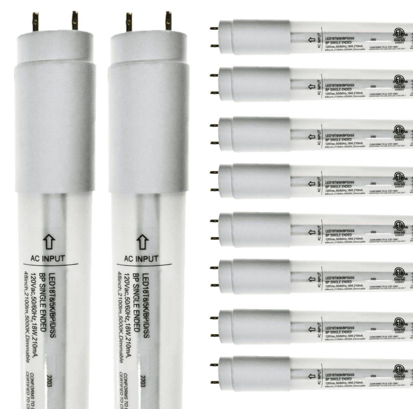Damar- 4Ft T8 LED Tube Light Bulb Type B Single Ended Ballast Bypass Safety Shielded 18W 2100 Lumens 5000K Bright White Dimmable G13 Bi-Pin Base 120V ETL Listed Pack of 10- Fluorescent Replacement