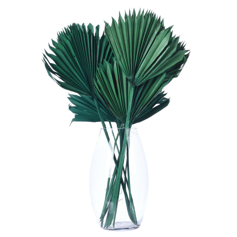 Vickerman Natural Botanicals 13.75 - 19.5" Emerald Dried Palm Sun Spear 12 per bag.
