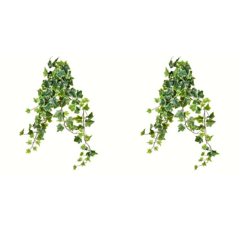 Vickerman 28" Artificial Varigated Ivy Hanging Bush Pack of 2