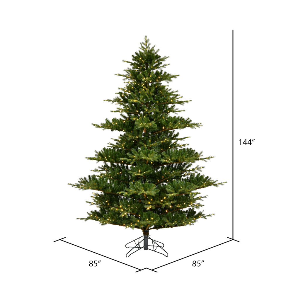 Vickerman 12' x 85" Sherwood Fir Artificial Christmas Tree Warm White LED Lights