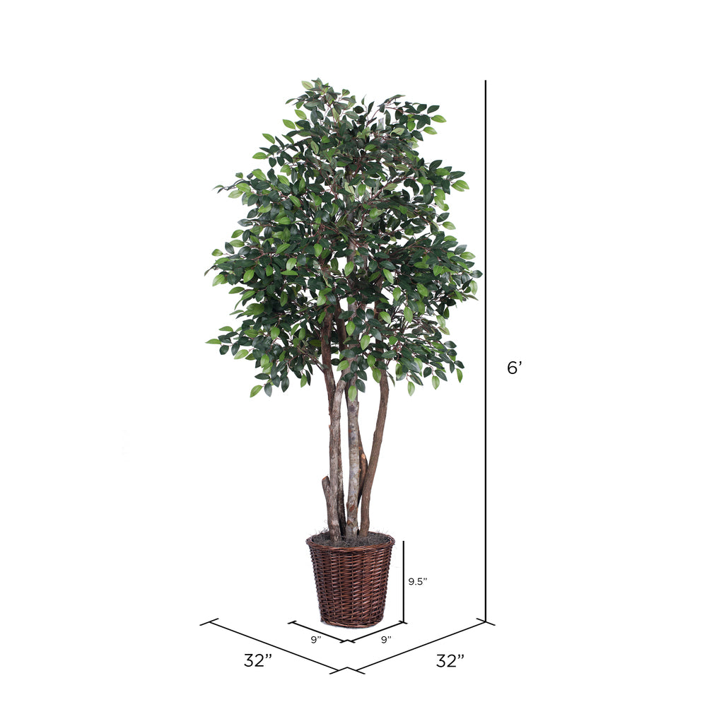 Vickerman 6' Artificial Mini Ficus Executive Rattan Basket
