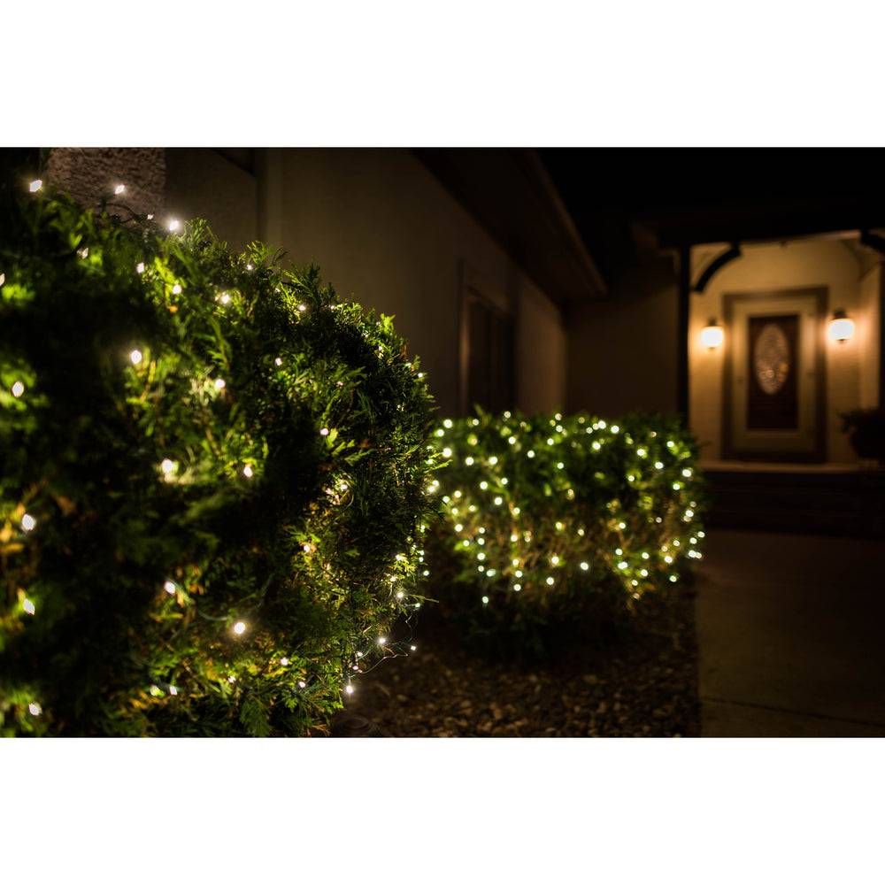 Vickerman 150 Warm White Wide Angle LED Christmas Net Light Set Green Wire
