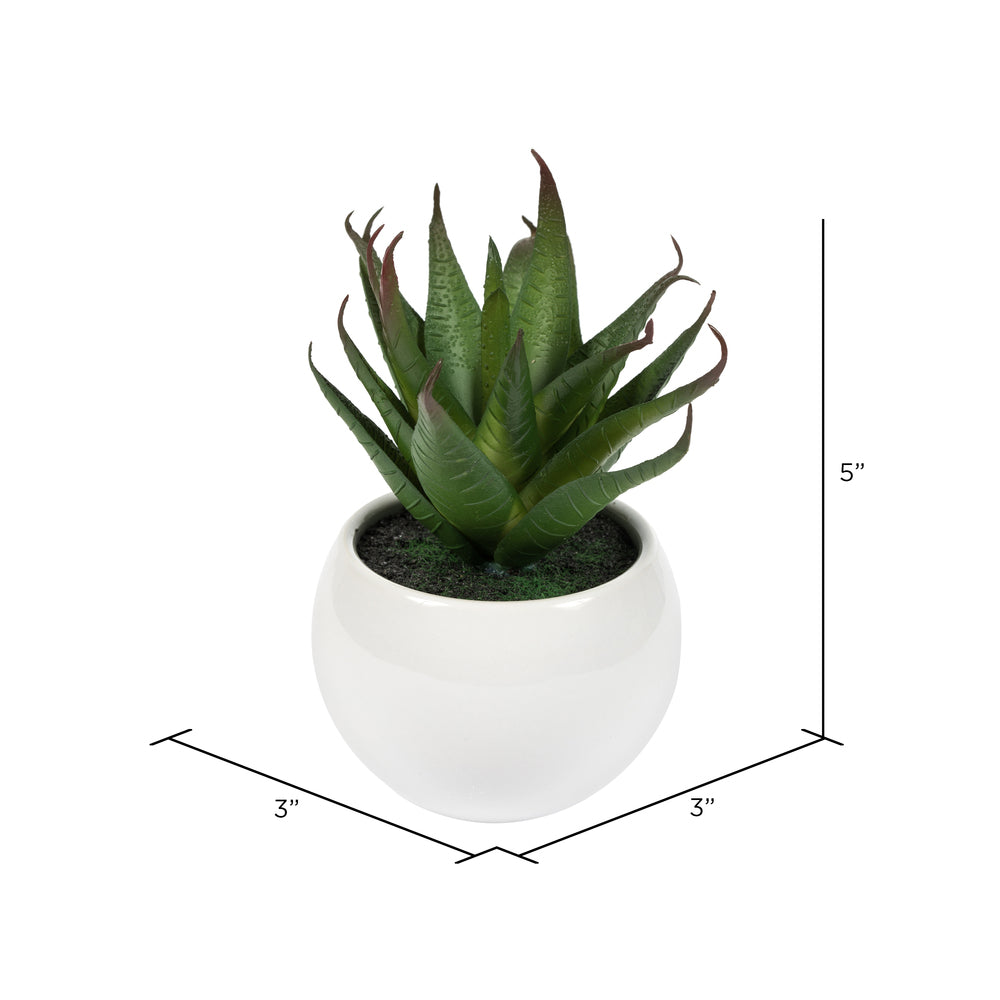 Vickerman 5" Artificial Assorted Potted Succulents.