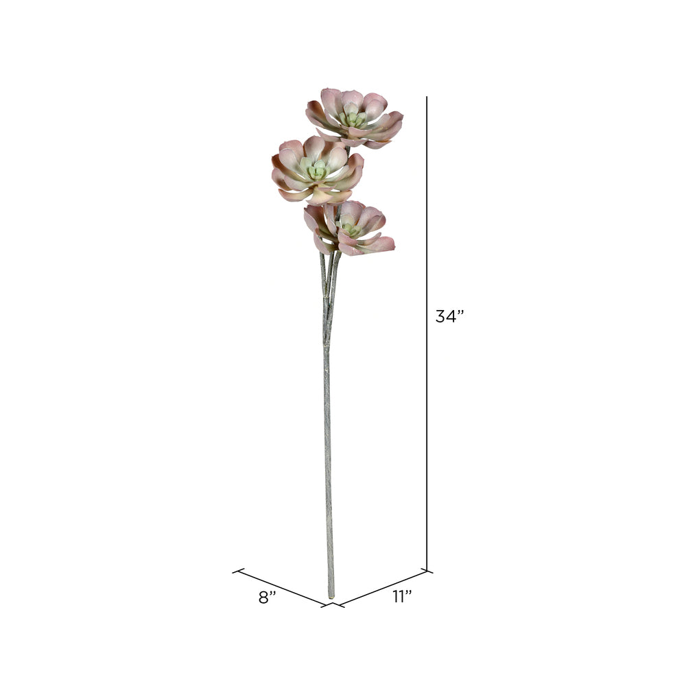 Vickerman 34" Artificial Brown Peperomia Succulent.