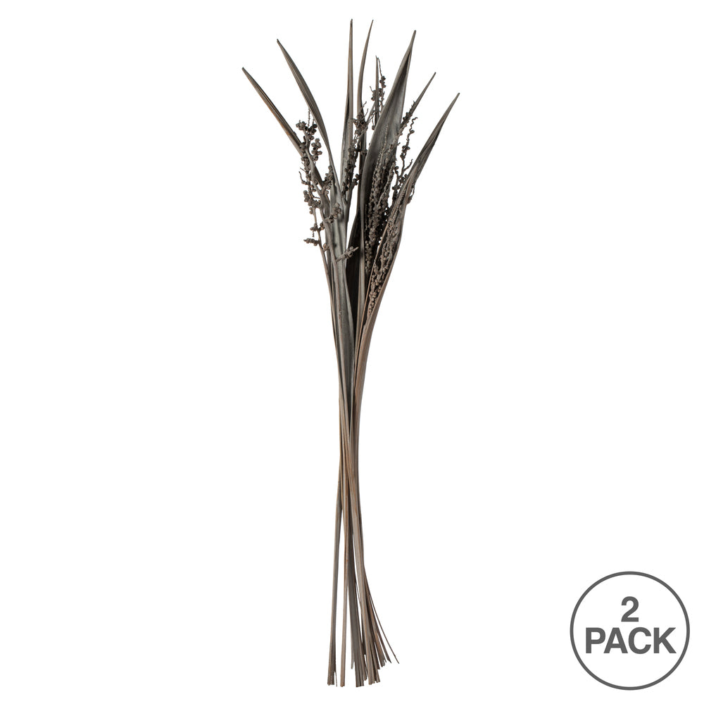 Vickerman 36" Gray Wash Bahia Spears with Seeds 2 pack Dried