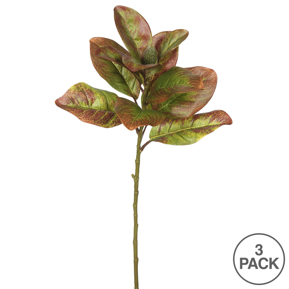 Vickerman 31" Artificial Autmn Magnolia Leaves No Blossom Set of 3