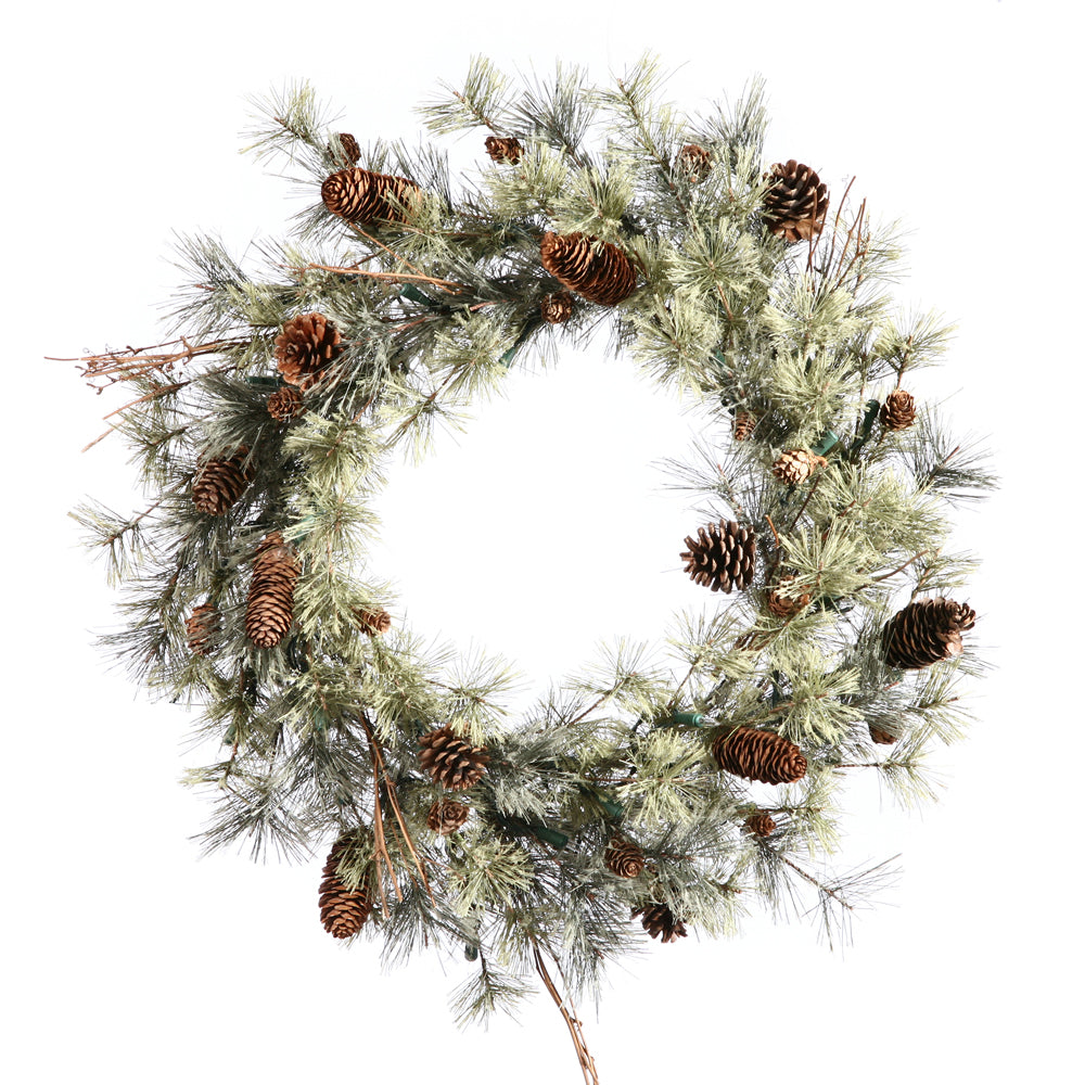 Vickerman 24" Dakota Artificial Christmas Wreath Unlit