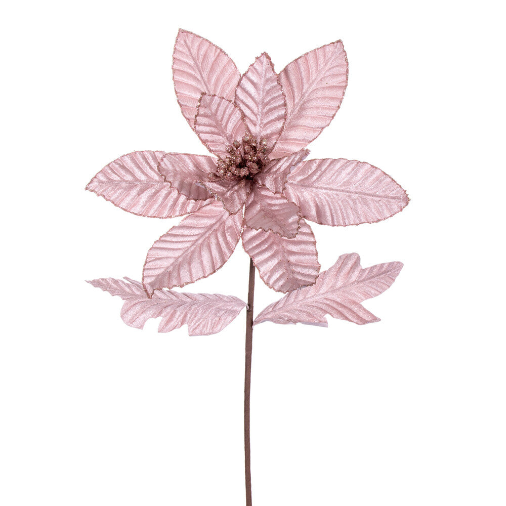 Vickerman 22" Pink Velvet Glitter Trim Poinsettia 6 per bag.