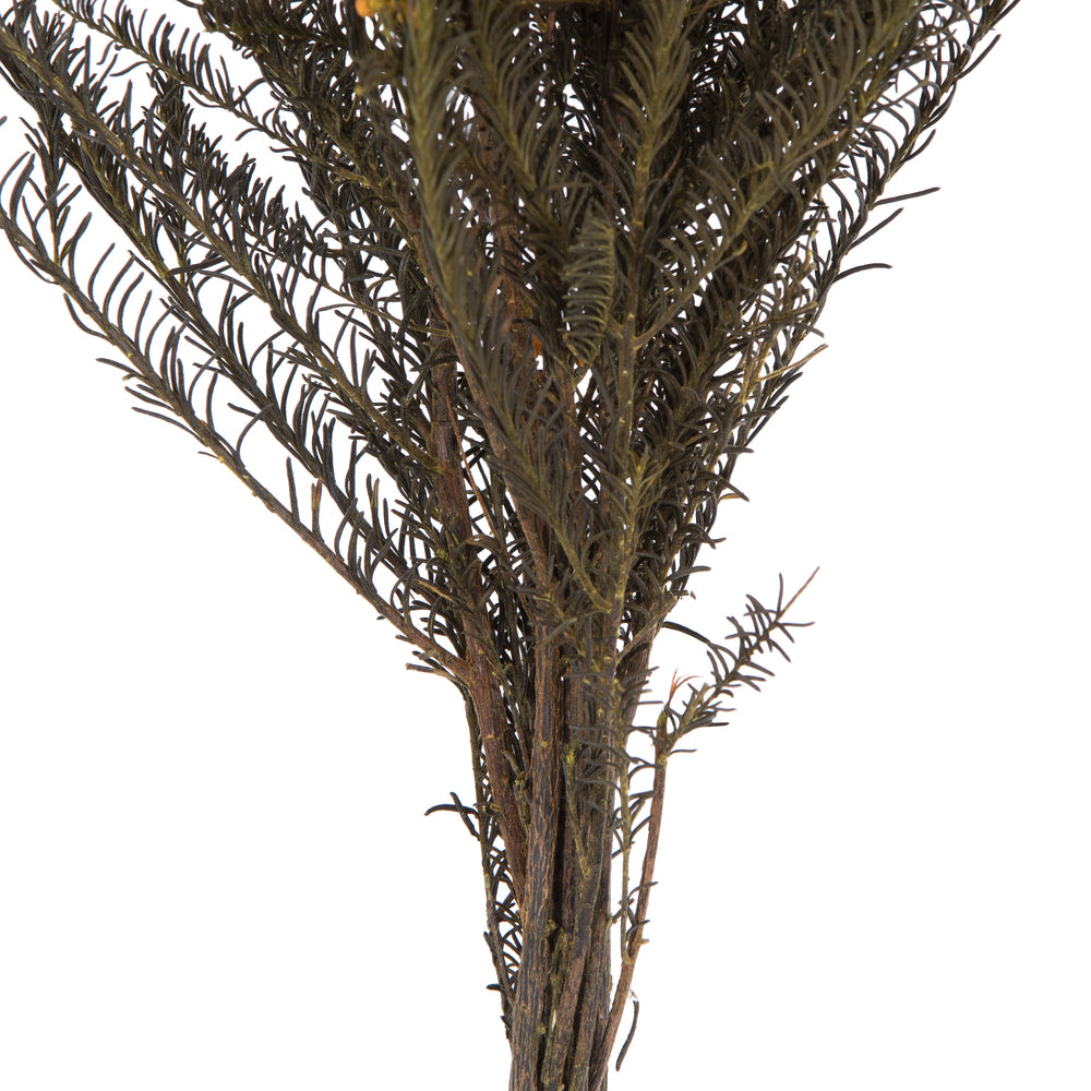Vickerman 16" Autumn Rice Flower. Comes in a 4.25 oz Bundle. Preserved