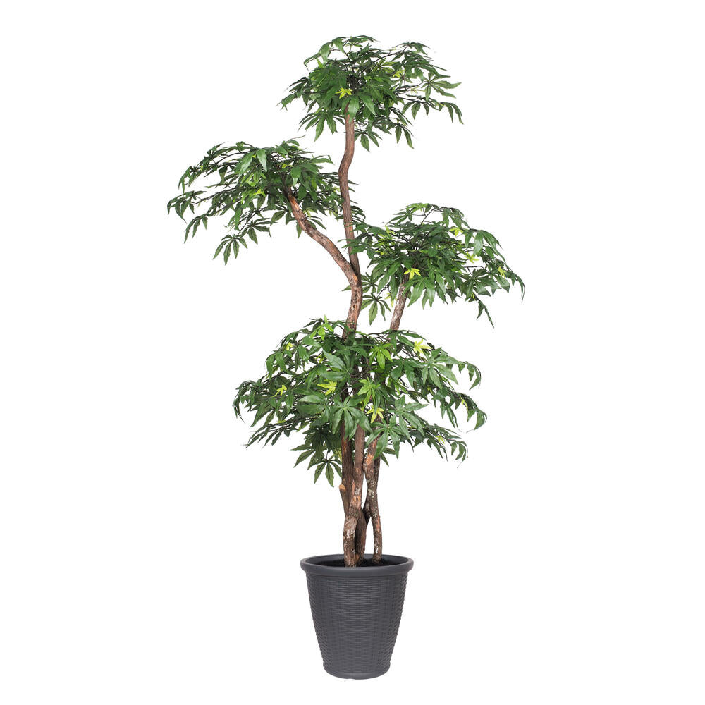 Vickerman 6' Artificial Multi Level Japanese Maple Tree Gray Round Plastic Container.