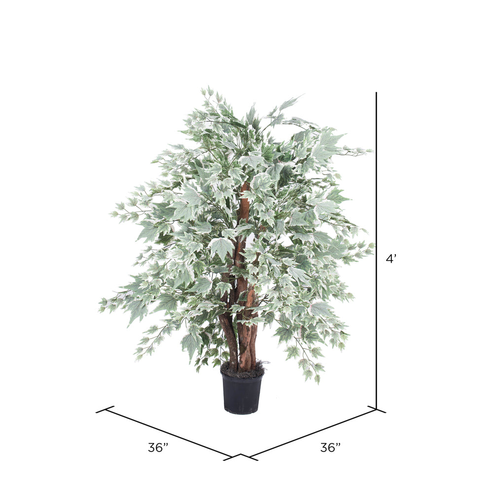 Vickerman 4' Artificial Silver Maple Extra Full Bush Black Plastic Pot.