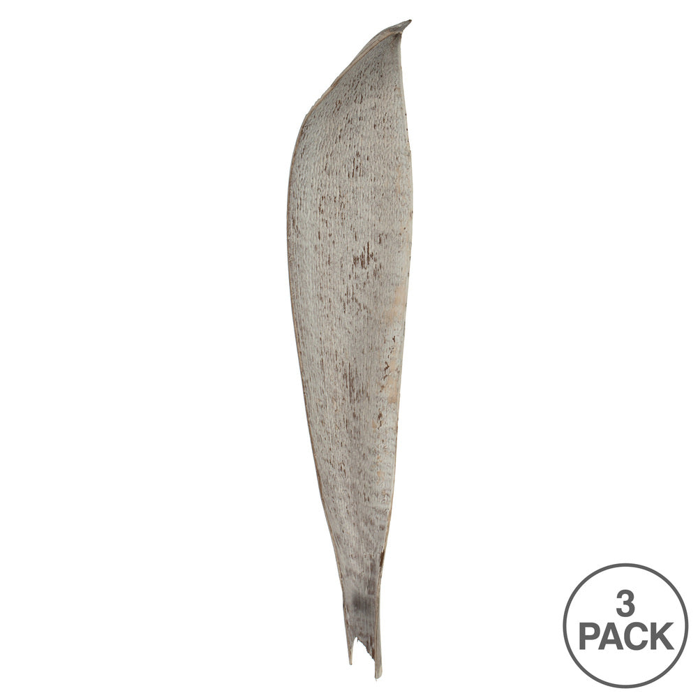 Vickerman 24-30" White Wash Palm Paddle. Includes 3 Paddle per Pack Dried