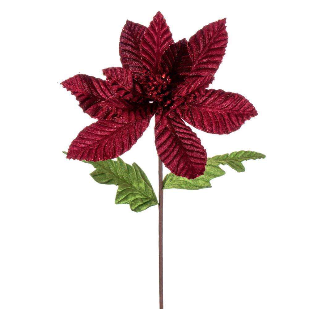 Vickerman 22" Burgundy Velvet Glitter Trim Poinsettia 6 per bag.