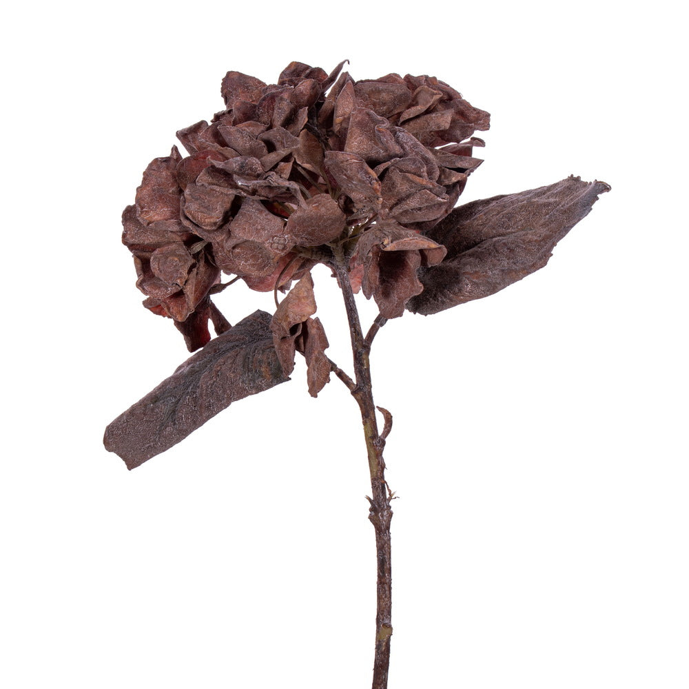 Vickerman 13" Dark Brown Artificial Dried Hydrangea Spray 6 per bag.
