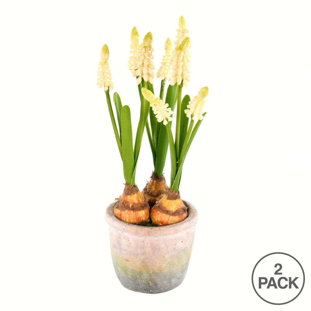 Vickerman 10" Artificial Yellow Hyacinths in Container Pack of 2