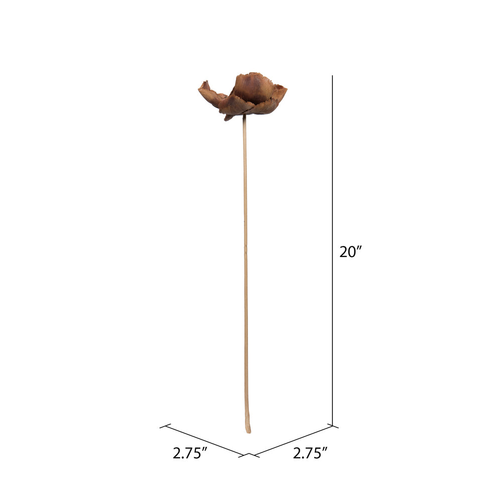 Vickerman Natural Botanicals 2.75" Palm Cap Natural on Stem. Includes 75 pieces per Pack.