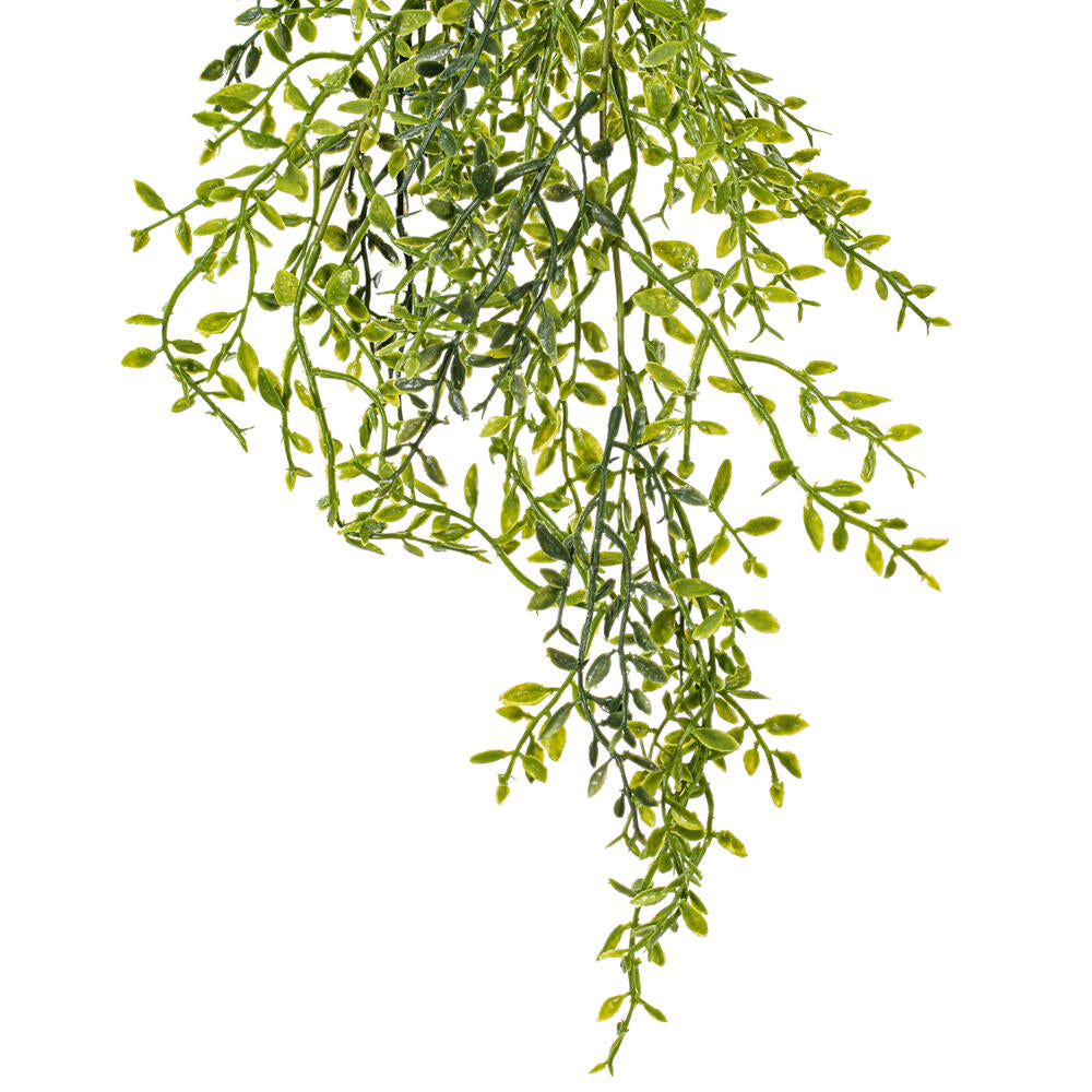 Vickerman 34" Artificial Green Lemon Beauty Leaf Vine.