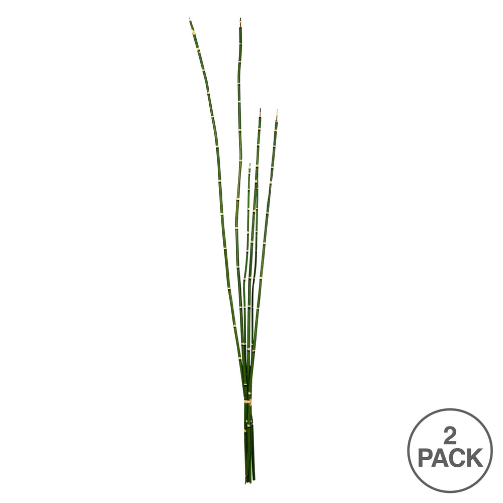 Vickerman 31'' Artificial Green Horsetail Bundle Pack of 2