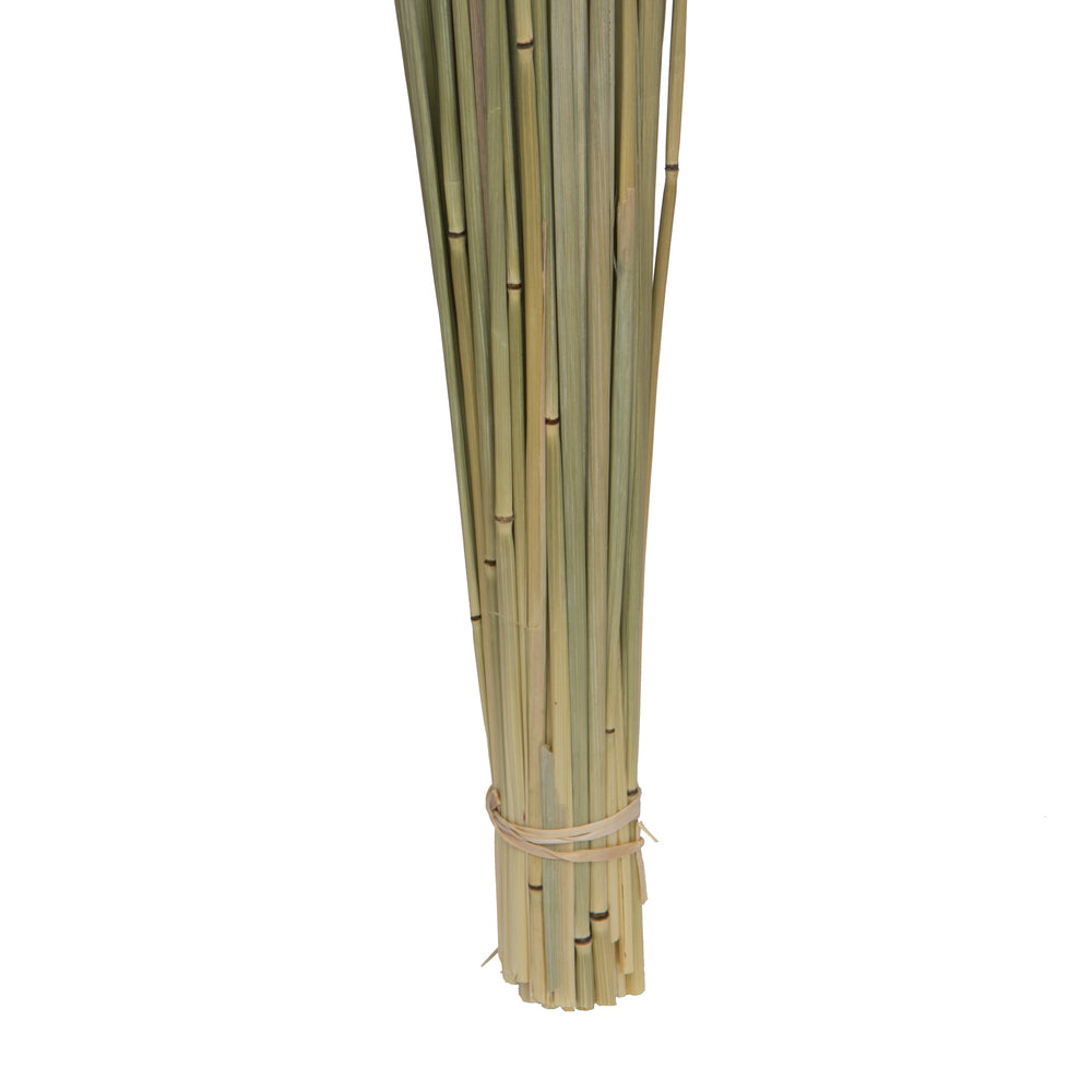 Vickerman Natural Botanicals 24-26" Natural Dried Avena Oats 4 oz Bunch
