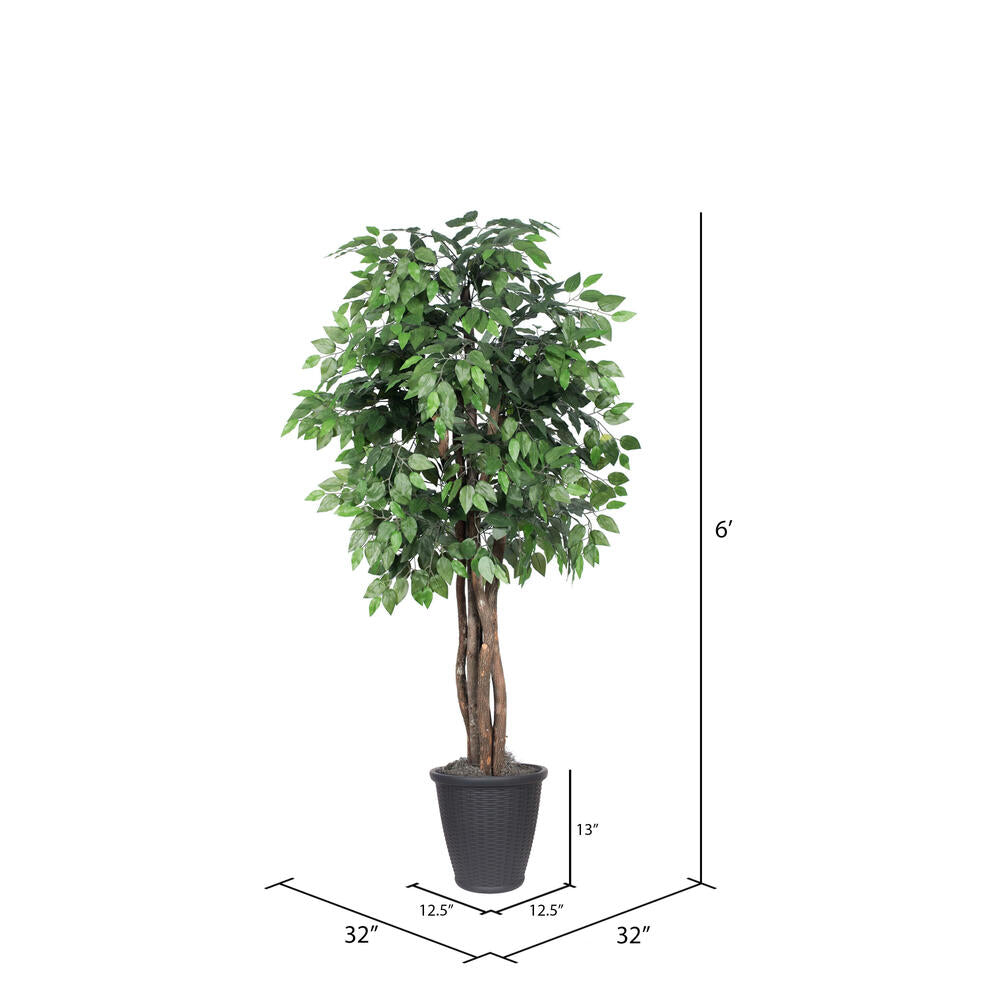 Vickerman 6' Artificial Ficus Executive Tree Gray Round Plastic Container.