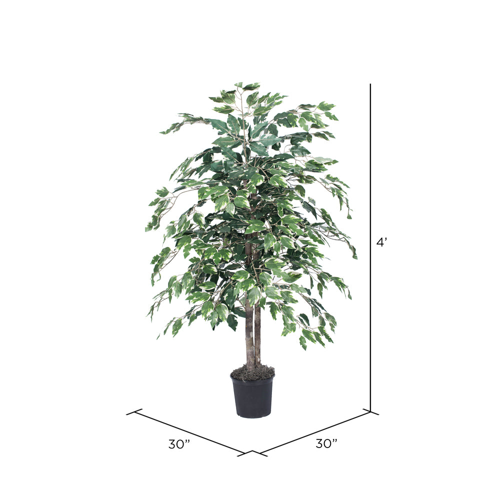 Vickerman 4' Artificial Variegated Ficus Bush Black Plastic Pot.