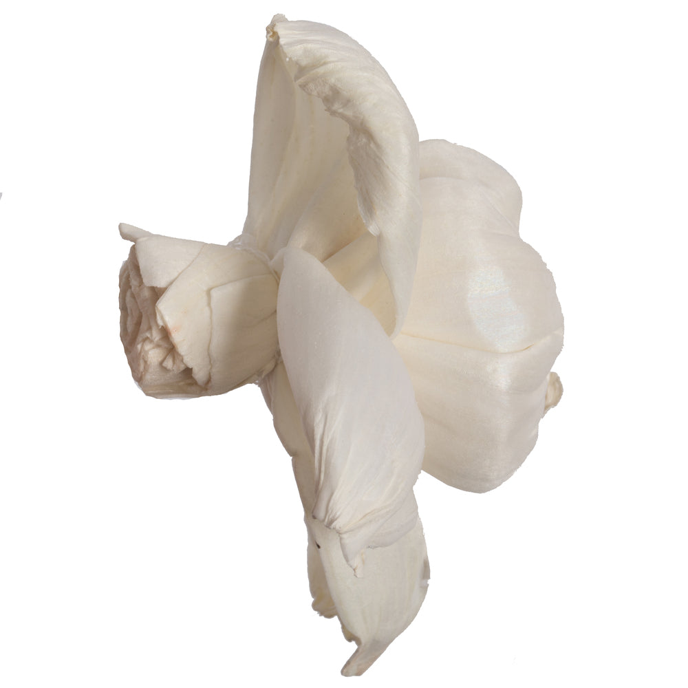 Vickerman Natural Botanicals 1.6"/2.4"/3.2" Assorted Natural Dried Rosette Sola Flower Head 24/bag.