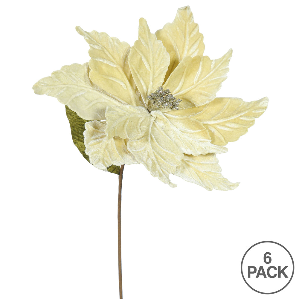 Vickerman 22" Champagne Poinsettia Artificial Christmas Flower 6 per Bag