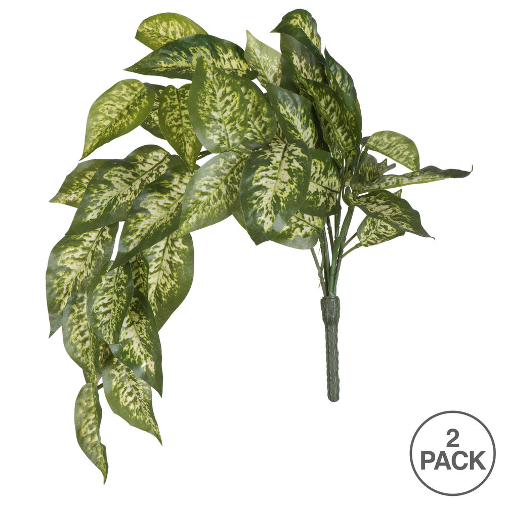 Vickerman 24" Artificial Green Dieffenbachia Bush Vine Pack of 2