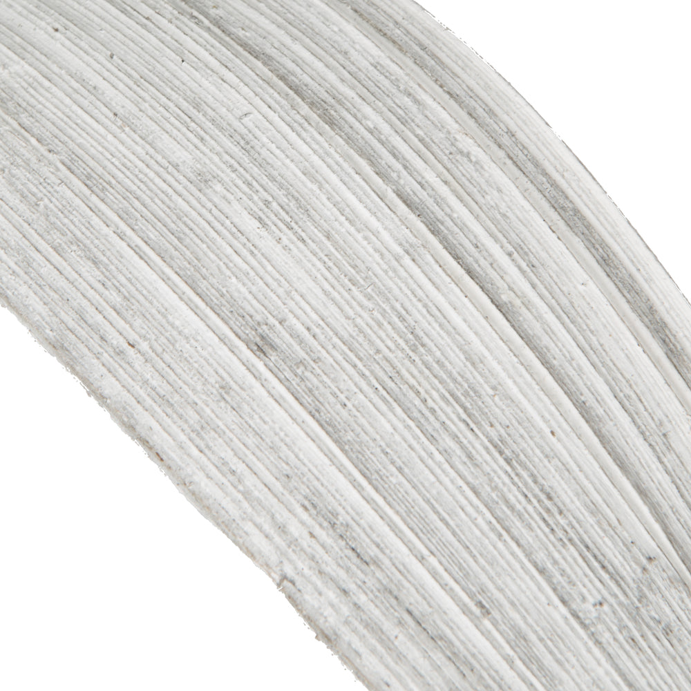 Vickerman PALM PADDLES MINI FROSTED WHITE APPROX 20-25 PIECE BAG (CPD-25) Dried