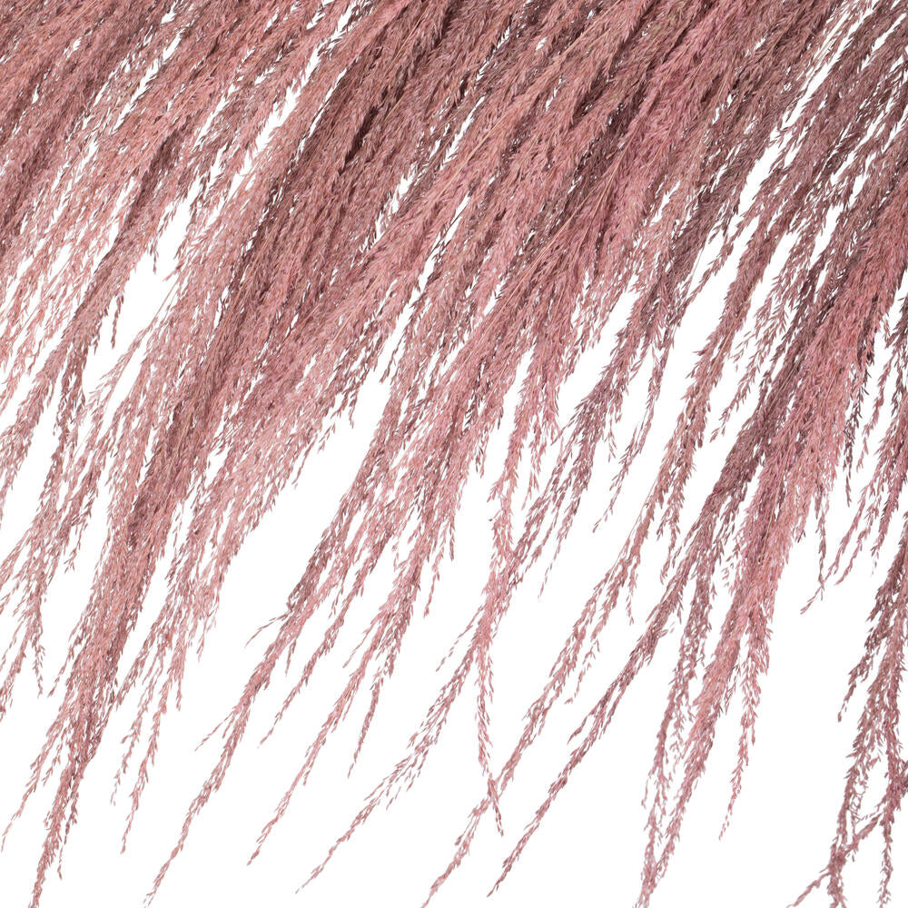 Vickerman 60-72" Dusty Rose Uva Palm Spray standing between 60 to 72 inches tall. Pack of 10.