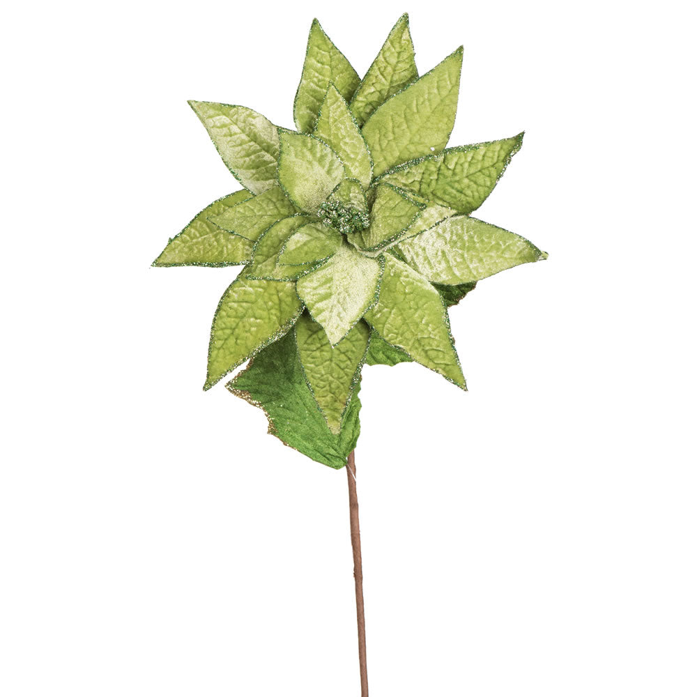 Vickerman 24" Artificial Lime Green Polyester Poinsettia Stem pack of 3