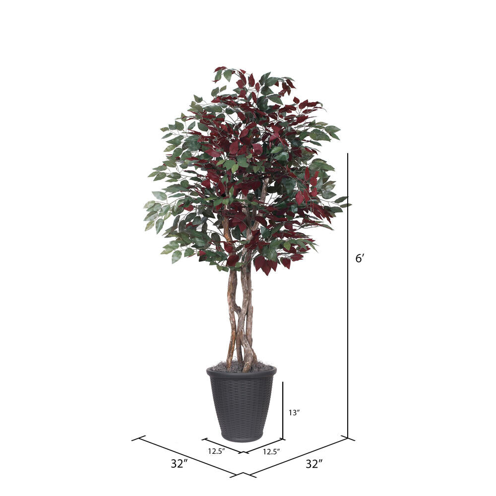Vickerman 6' Artificial Capensia Executive Tree Gray Round Plastic Container.