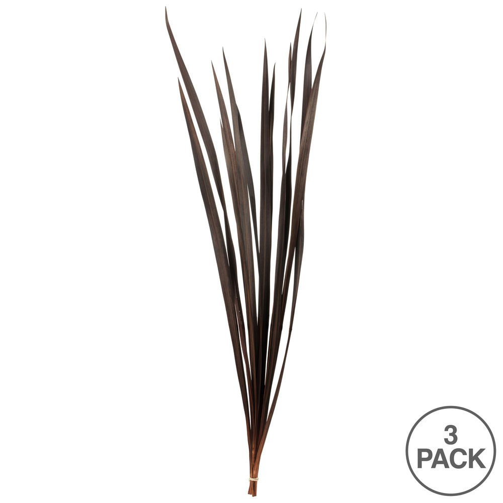 Vickerman 18-30" Brown Snake Grass. Includes 36 Stems (3 - 12 Stem Bundles) Dried